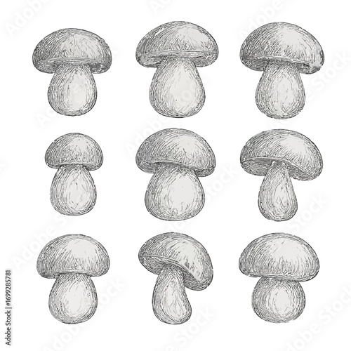 Hand-drawn mushroom pattern with pencil sketch effect on gradient background