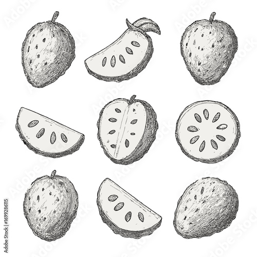 Hand drawn sketch of watermelon and strawberry on grayscale background