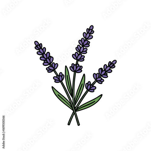 Lavender Floral Illustration. Elegant purple blossoms with vibrant green stems. This charming botanical artwork embodies serenity and natural beauty, perfect for wellness themes.