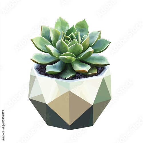 Geometric Pot with a Lush Green Succulent Plant Displayed Beautifully