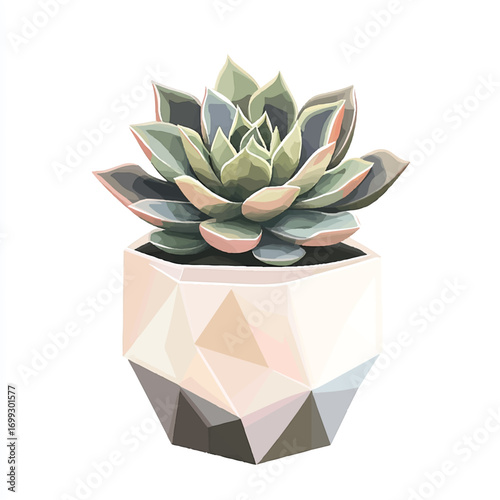 Geometric Pot with a Lush Green Succulent Plant Displayed Beautifully