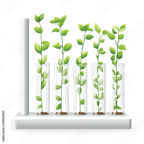  Green plants growing in test tubes on a white stand.