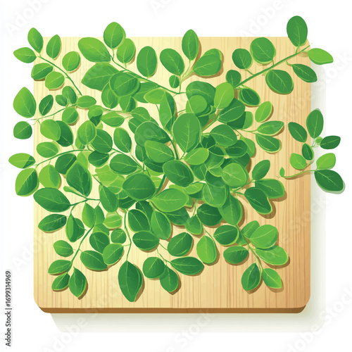 Fresh Oregano Sprigs on Wooden Board Illustration