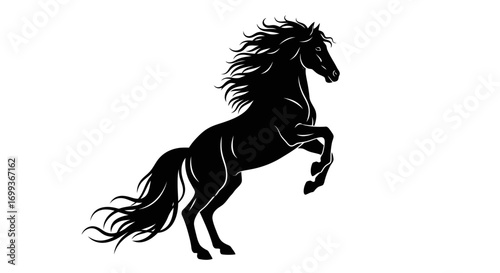 Majestic black horse silhouette rearing up on white background