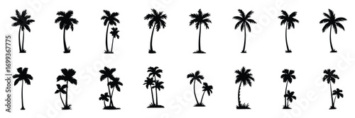 Vector collection of assorted black palm tree silhouettes. A graphic icon pack for summer travel and tropical beach design projects