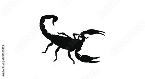 a detailed silhouette of a scorpion with sharp claws