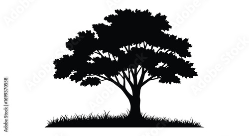 a solitary tree stands tall with lush foliage and grass below