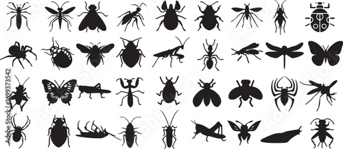 beetle, collection, vector, white, nature, butterfly, spider, comprehensive, insects, offering, grasshoppers, entomology, grasshopper, insect, black, silhouettes, butterflies, silhouette, dragonfly, a