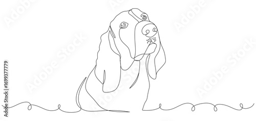 Minimalist one line drawing of a dog with long ears, resembling a basset hound. The illustration is simple, elegant, and sketch-style, focusing on the dog’s face and body outline