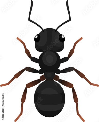 Detailed Flat Illustration of an Ant, Close Up Insect Creature