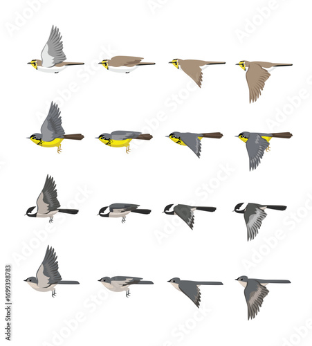 Bird Flying America Lark Tit Warbler Chickadee Set Cartoon Vector