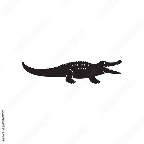 crocodile isolated on white background