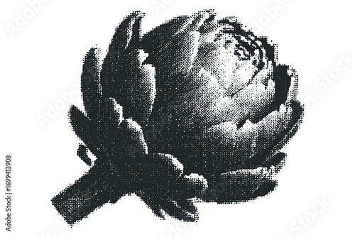 Halftone dot texture artichoke vegetable image. Vector hand drawn illustration