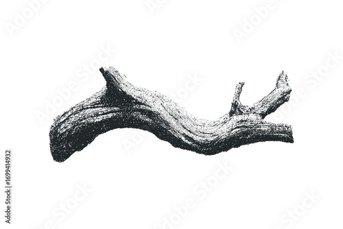 Crude Textured Wood Branch on Transparent Background. Vector hand drawn illustration