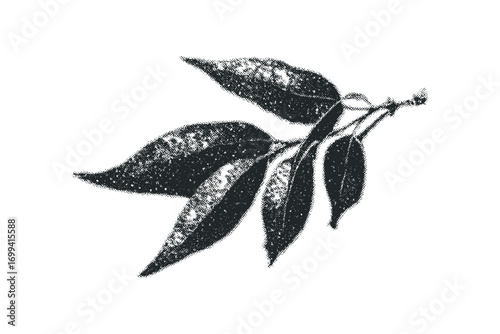 Sprig with textured leaves on white. Vector hand drawn illustration