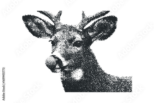 Halftone Stipple Textured Deer Head with Antlers. Vector hand drawn illustration