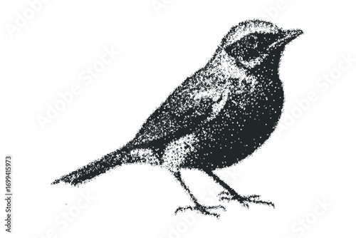 Small bird rendered in stippling technique on transparent background. Vector hand drawn illustration