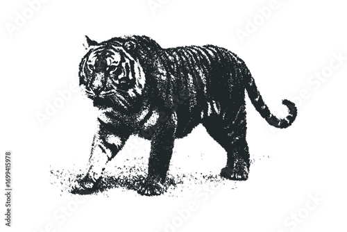 Stalking Tiger Gritty Texture on Transparent Background. Vector hand drawn illustration