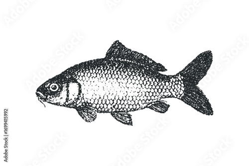 Grungy black fish silhouette on transparent background. Vector hand drawn illustration