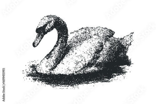 Stippled swan floating gracefully on water, image with transparent background. Vector hand drawn illustration