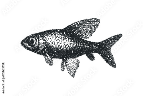 Textured fish aquatic animal. Vector hand drawn illustration