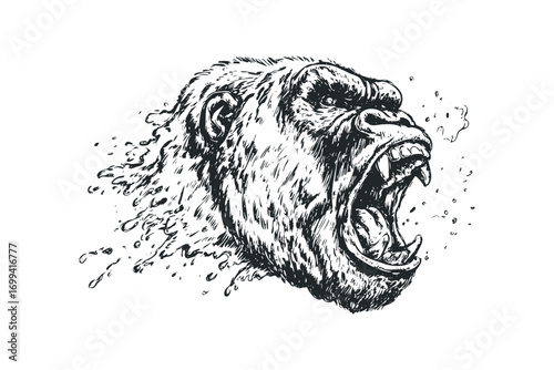 Fierce gorilla head roaring, sketch style,. Vector hand drawn illustration