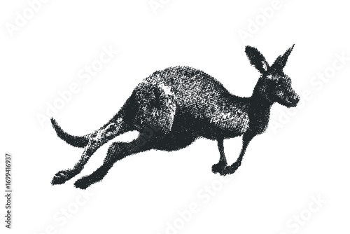 Black kangaroo in mid-leap. Vector hand drawn illustration