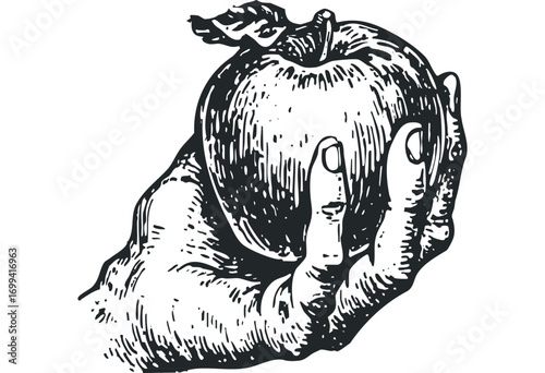 Hand holding a single apple. Vector hand drawn illustration