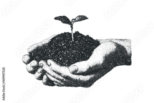 Hands cradling soil with a young plant seedling,. Vector hand drawn illustration