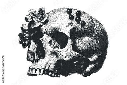 Vintage stippled human skull with floral embellishments on transparent. Vector hand drawn illustration