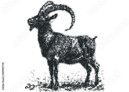 Aged ibex animal standing on white background. Vector hand drawn illustration