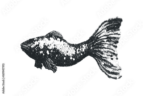 Textured fish silhouette on transparent background. Vector hand drawn illustration