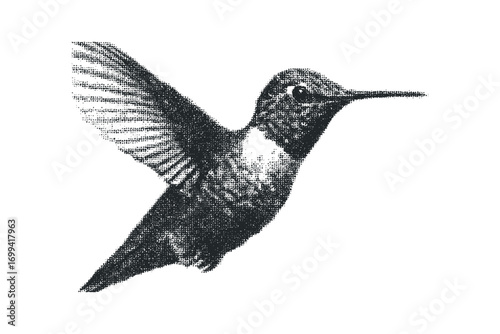 Hummingbird hovering, dot stipple graphic, transparent. Vector hand drawn illustration
