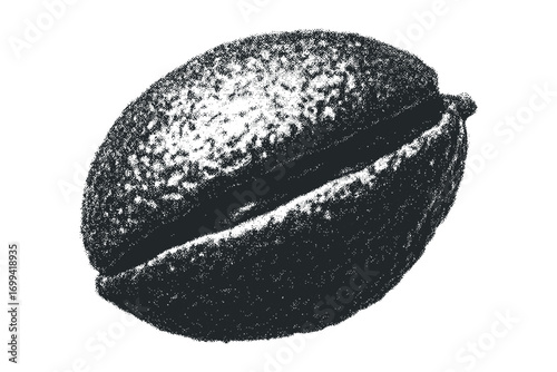 Coffee bean with speckle texture on a white. Vector hand drawn illustration