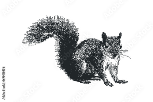 Textured squirrel with bushy tail, transparent background. Vector hand drawn illustration