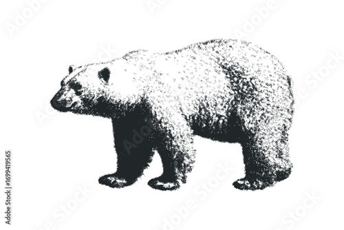 Grizzly Bear Profile Facing Left Textured Grunge Effect. Vector hand drawn illustration