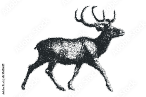 Majestic stag with large antlers walking, textured monochrome. Vector hand drawn illustration