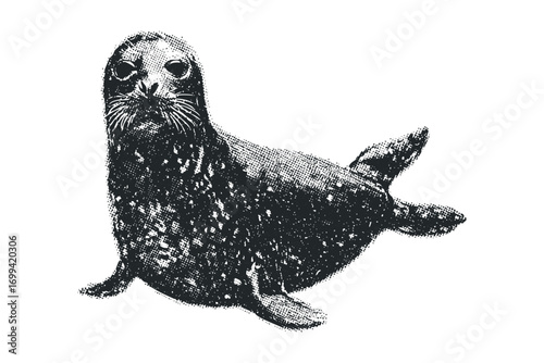 Halibut Seal Creature Transparent Image. Vector hand drawn illustration
