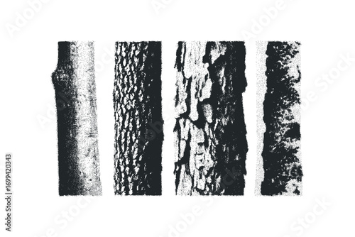 Four textured tree bark samples on transparent background. Vector hand drawn illustration
