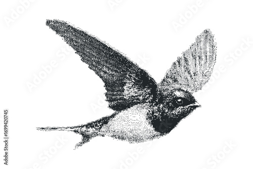 Black and white pixelated swallow bird in flight on transparent background. Vector hand drawn illustration