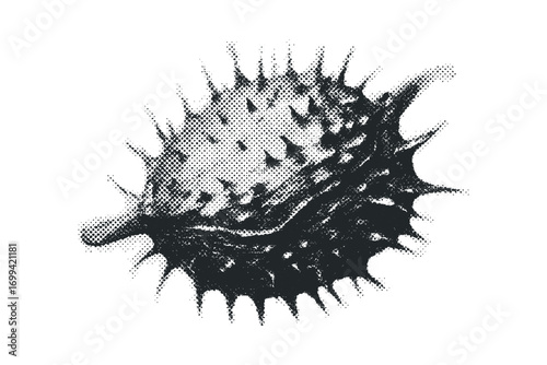 Black ink spiky seed pod on transparent background. Vector hand drawn illustration