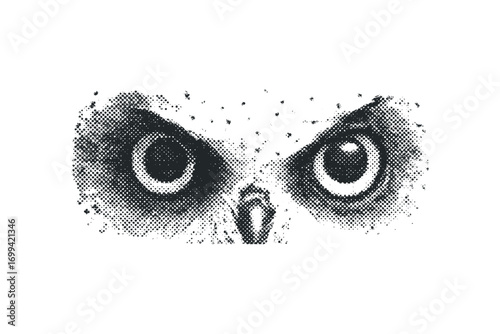 Halftone Owl Eyes Transparent Image. Vector hand drawn illustration
