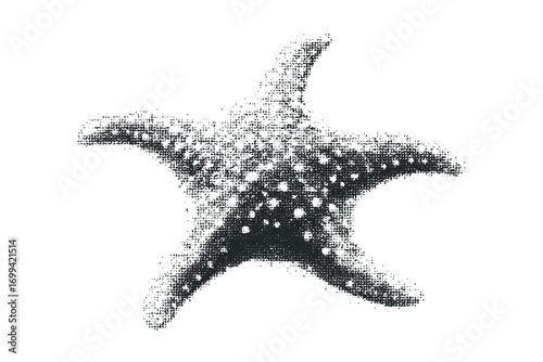 Starfish marine creature transparent. Vector hand drawn illustration
