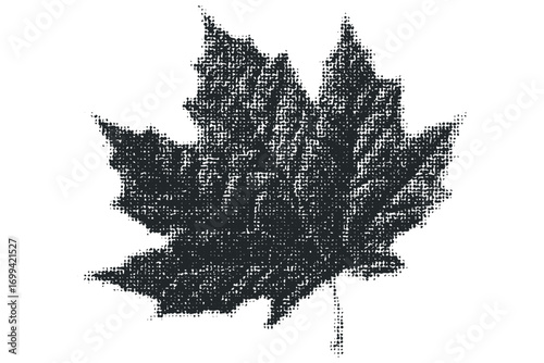 Black Maple Leaf Shape Halftone Effect Transparent. Vector hand drawn illustration