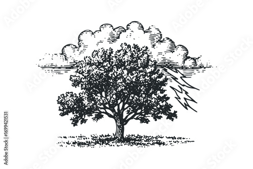 Stormy sky with lightning striking a solitary tree on a grassy meadow. Vector hand drawn illustration