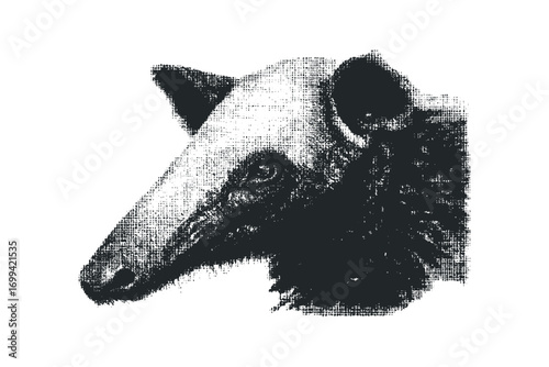 Anteater head graphic with halftone effect. Vector hand drawn illustration