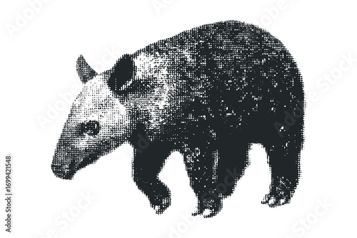 Black and white tapir animal image on transparent background. Vector hand drawn illustration