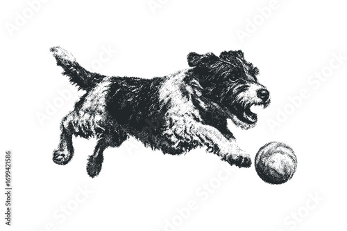 Energetic terrier dog chasing a ball in motion. Vector hand drawn illustration