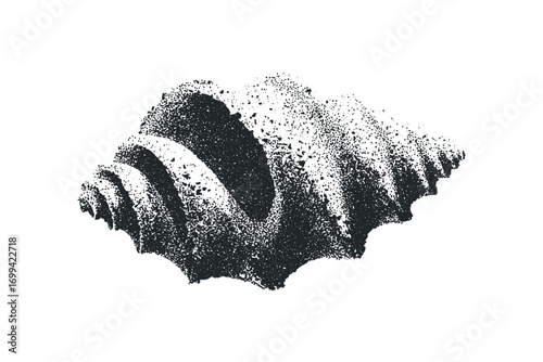 Textured Seashell Fragment Object on White. Vector hand drawn illustration