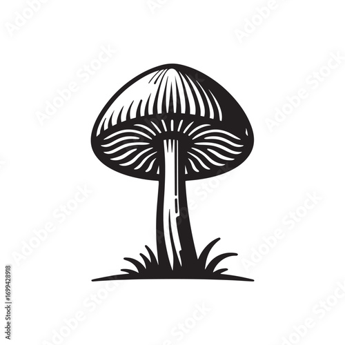 vector illustration of mushroom